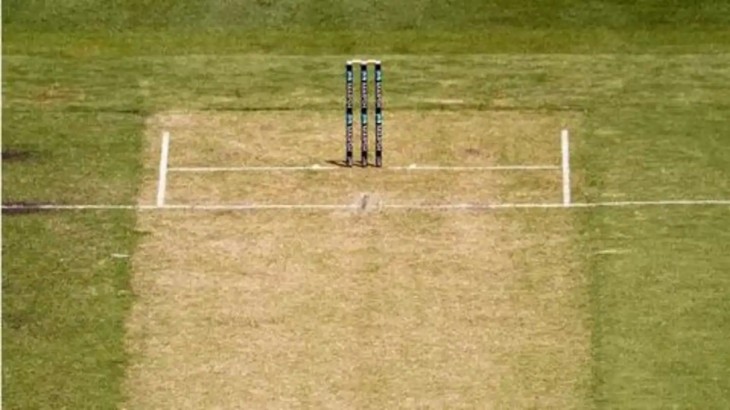 Types Of Cricket Pitch