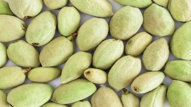 Benefits of Green Almonds