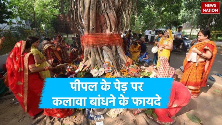 tying kalava to peepal tree for health and wealth