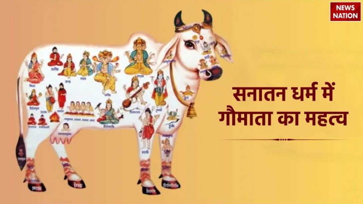 Importance of cow in Sanatan Dharma