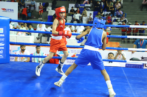 hindi-ub-jr-national-haryana-boxer-confirm-19-medal--20240324142435-20240324143951
