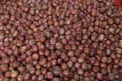 hindi-govt-allow-additional-10000-tonne-of-onion-export-to-uae--20240403201026-20240403213643