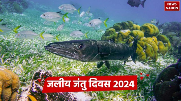 World Aquatic Animal Day 2024