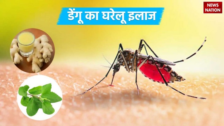 Dengue Home Remedies