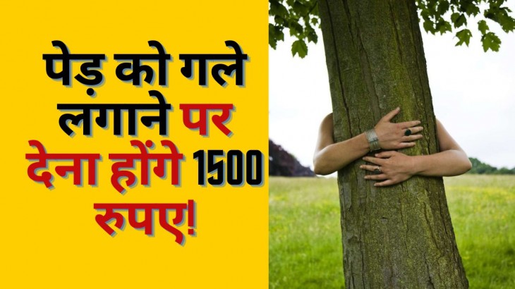 Viral Video Bengaluru Based Company Offering 1500 Rupees For Hugging Tree