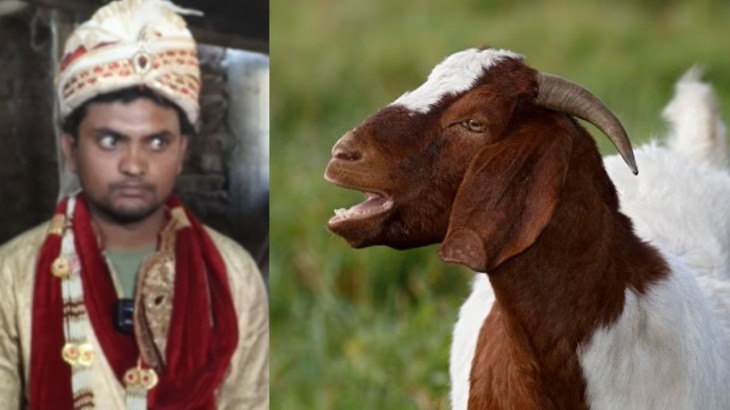 marriage with goat viral video