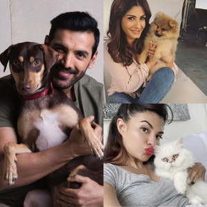 hindi-pet-parent-john-abraham-jacqueline-fernandez-and-other-hare-two-cent-on-making-ummer-paw-perfe